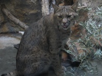 20100206 527.JPG